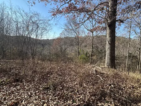 17 Wisdom Rd, Westpoint, TN 38486 photo 36