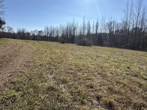 17 Wisdom Rd, Westpoint, TN 38486 photo 15