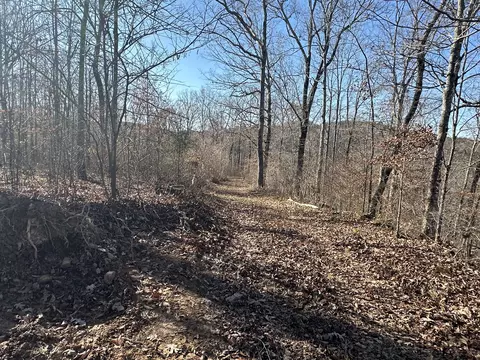 17 Wisdom Rd, Westpoint, TN 38486 photo 37