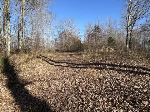 17 Wisdom Rd, Westpoint, TN 38486 photo 34