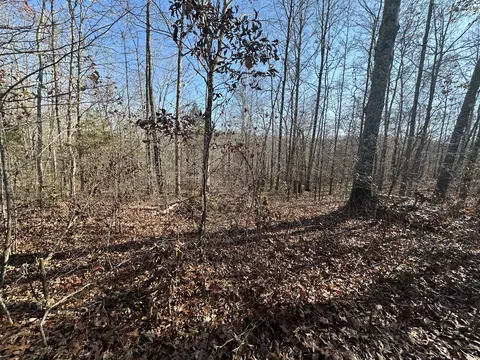 17 Wisdom Rd, Westpoint, TN 38486 photo 41