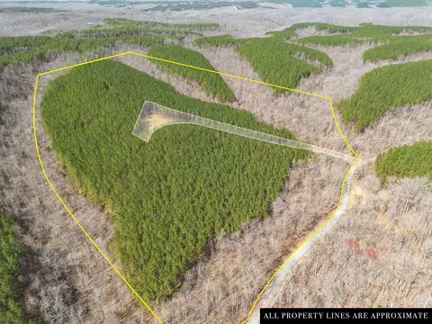 0 Cotton Branch Rd #LOT 2B, Linden, TN 37096