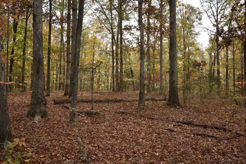 0 Dennwood Dr, Nunnelly, TN 37137