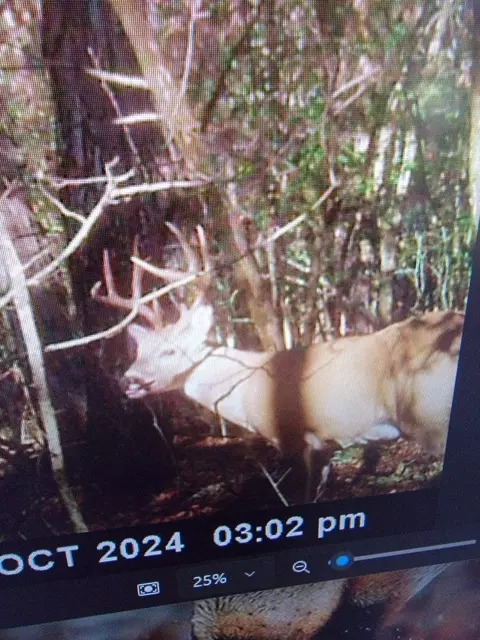 Other - 441 Sam Tag Ln, Decherd, TN 37324 photo 10 of 10