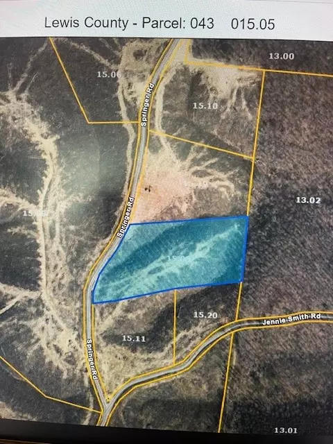 0 Springer Rd, Hohenwald, TN 38462