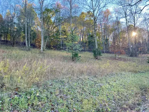 375 Red Tuttle Rd, Bethpage, TN 37022 photo 10