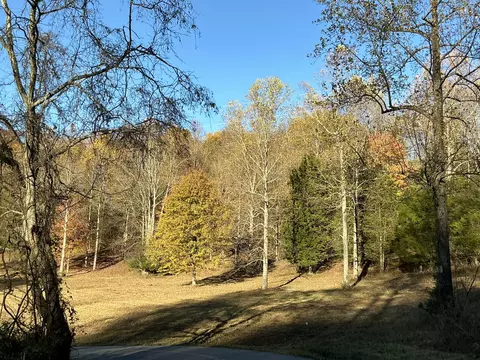 375 Red Tuttle Rd, Bethpage, TN 37022 photo 8