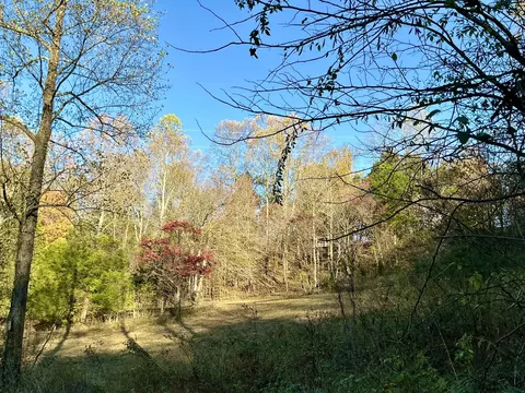 375 Red Tuttle Rd, Bethpage, TN 37022 photo 5