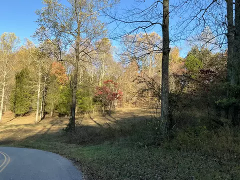 375 Red Tuttle Rd, Bethpage, TN 37022 photo 6
