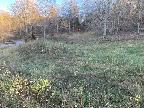 375 Red Tuttle Rd, Bethpage, TN 37022 photo 13