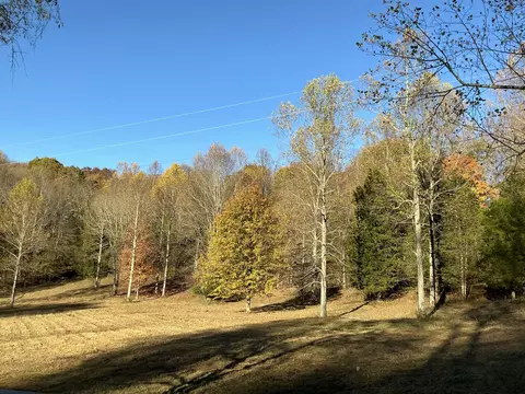 375 Red Tuttle Rd, Bethpage, TN 37022 photo 7