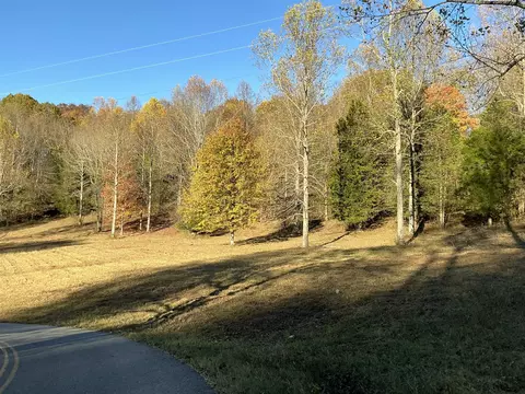 375 Red Tuttle Rd, Bethpage, TN 37022 photo 2
