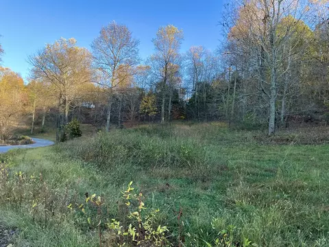 375 Red Tuttle Rd, Bethpage, TN 37022 photo 11