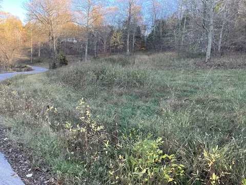 375 Red Tuttle Rd, Bethpage, TN 37022 photo 12