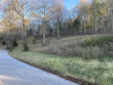 375 Red Tuttle Rd, Bethpage, TN 37022 photo 15