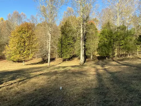 375 Red Tuttle Rd, Bethpage, TN 37022 photo 4