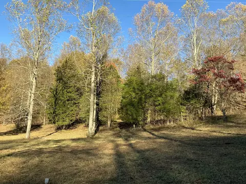 375 Red Tuttle Rd, Bethpage, TN 37022 photo 3