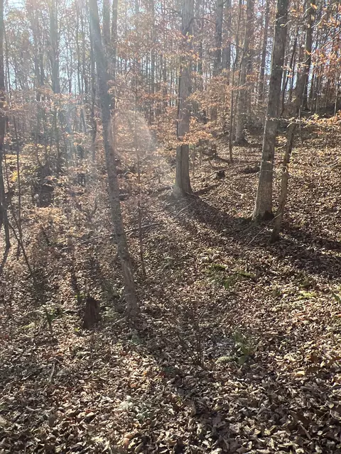 0 Moore Rd, Franklin, TN 37064 photo 4