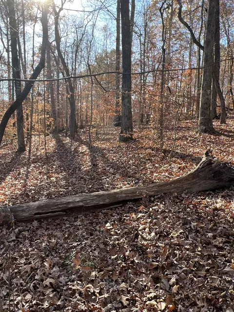 0 Moore Rd, Franklin, TN 37064 photo 6