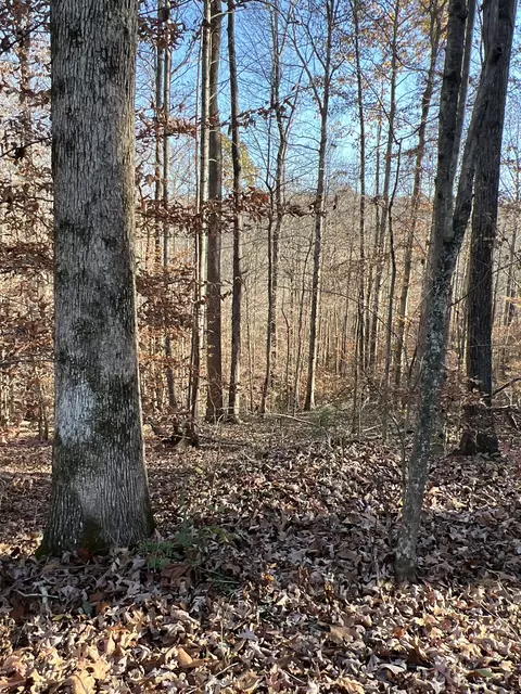 0 Moore Rd, Franklin, TN 37064 photo 7