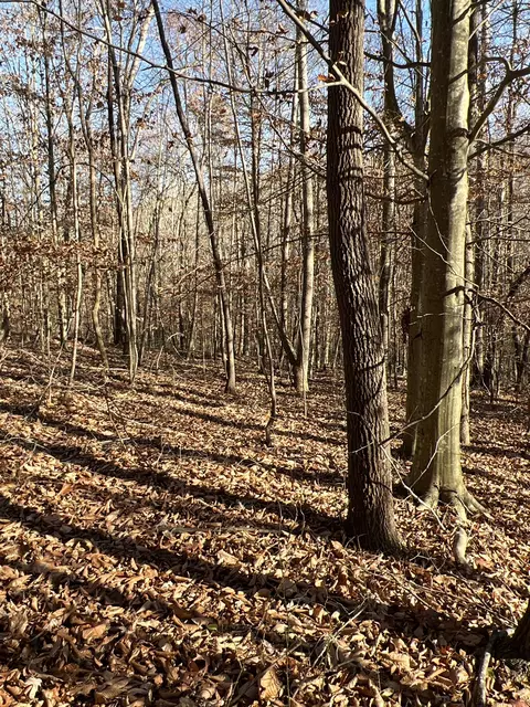 0 Moore Rd, Franklin, TN 37064 photo 2