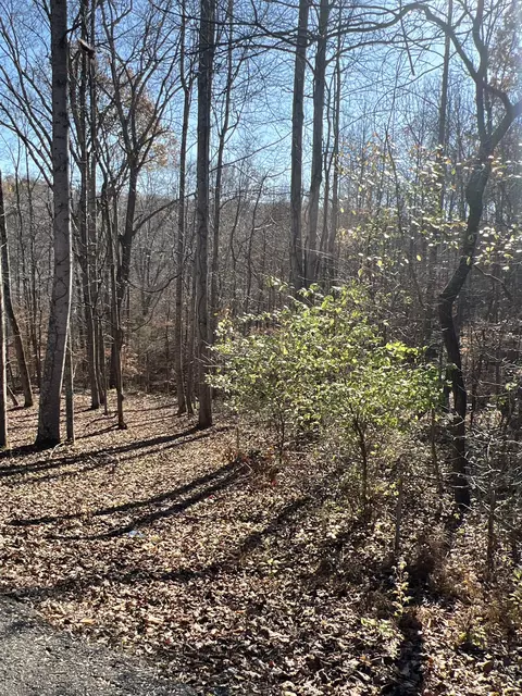 0 Moore Rd, Franklin, TN 37064 photo 3