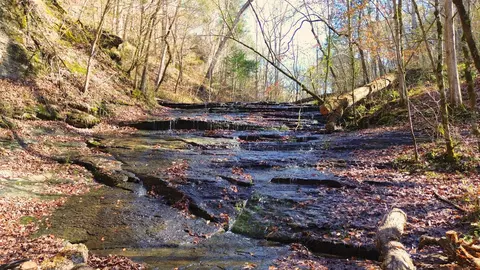 3482 Waterfall Creek Rd, Collinwood, TN 38450