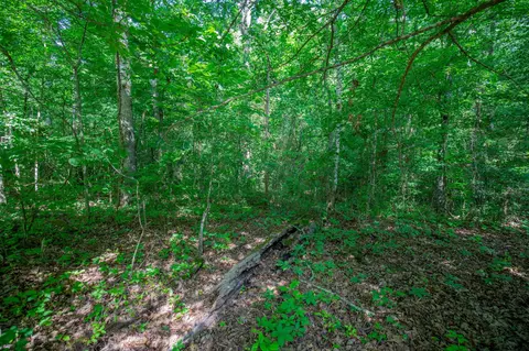 11138 Dolly Pond Rd, Birchwood, TN 37308