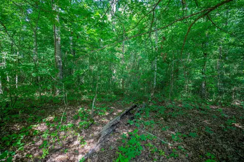 11138 Dolly Pond Rd, Birchwood, TN 37308