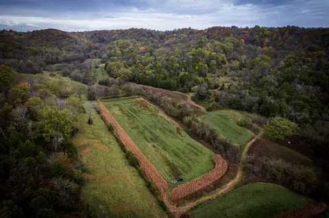 394 Young Hollow Rd, Pulaski, TN 38478