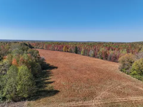 0 Morrow Branch Rd, Lynnville, TN 38472