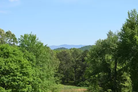 577 Horns Creek Rd, Old Fort, TN 37362 photo 14