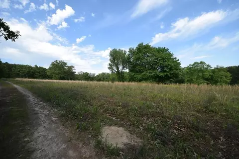 577 Horns Creek Rd, Old Fort, TN 37362 photo 10