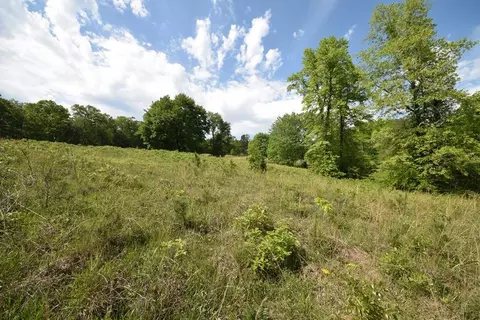 577 Horns Creek Rd, Old Fort, TN 37362 photo 7