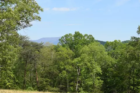 577 Horns Creek Rd, Old Fort, TN 37362 photo 12