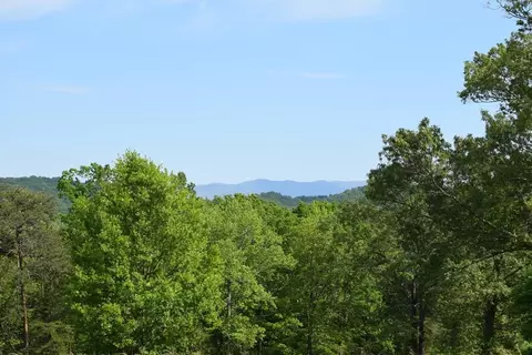 577 Horns Creek Rd, Old Fort, TN 37362 photo 16