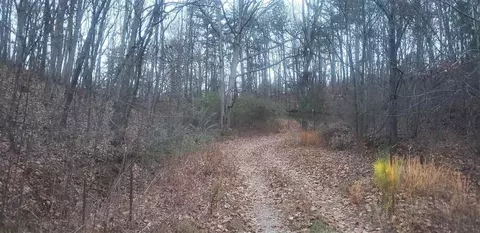 577 Horns Creek Rd, Old Fort, TN 37362 photo 18