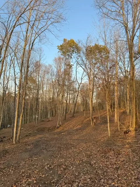 1548 Rabe Coats Rd, Westmoreland, TN 37186