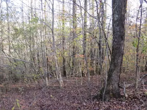 0 Black Rd, Prospect, TN 38477 photo 16