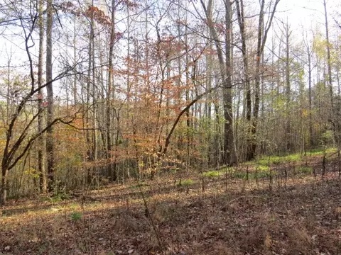 0 Black Rd, Prospect, TN 38477 photo 18