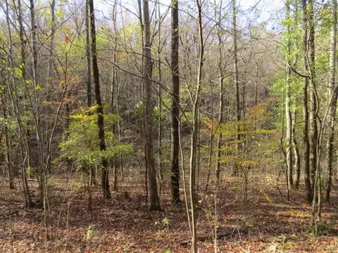 0 Black Rd, Prospect, TN 38477 photo 8