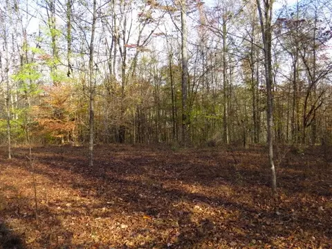 0 Black Rd, Prospect, TN 38477 photo 4
