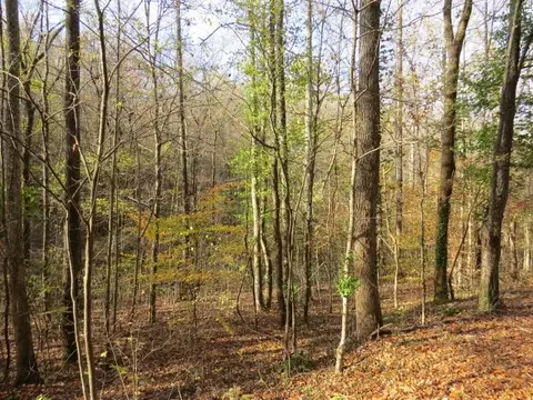 0 Black Rd, Prospect, TN 38477 photo 3