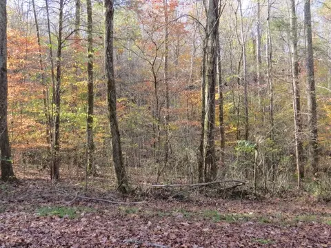 0 Black Rd, Prospect, TN 38477 photo 10