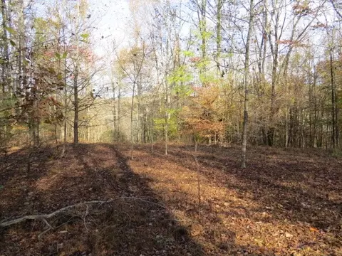 0 Black Rd, Prospect, TN 38477