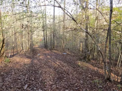 0 Black Rd, Prospect, TN 38477 photo 15