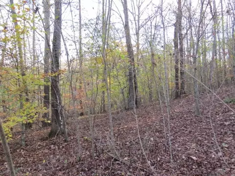 0 Black Rd, Prospect, TN 38477 photo 12