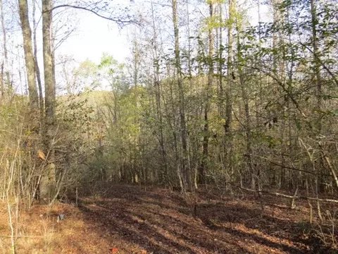 0 Black Rd, Prospect, TN 38477 photo 5