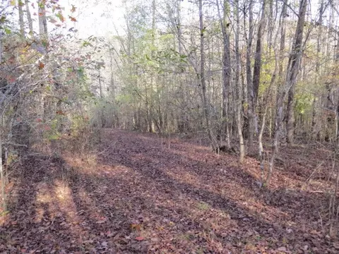 0 Black Rd, Prospect, TN 38477 photo 21