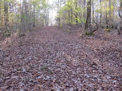 0 Black Rd, Prospect, TN 38477 photo 14